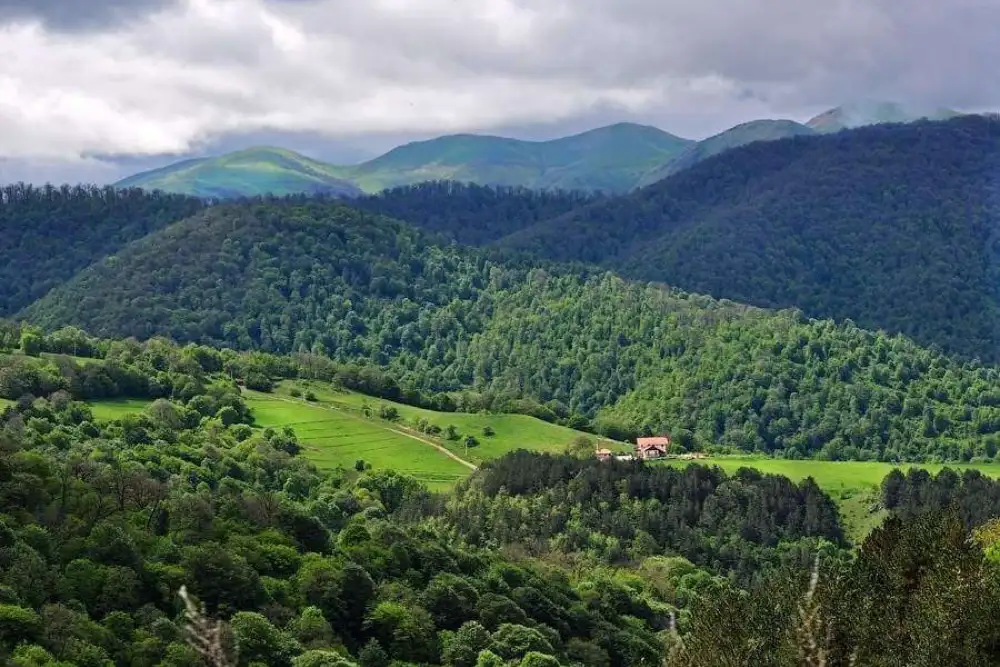Cone Hotel Dilijan (8)