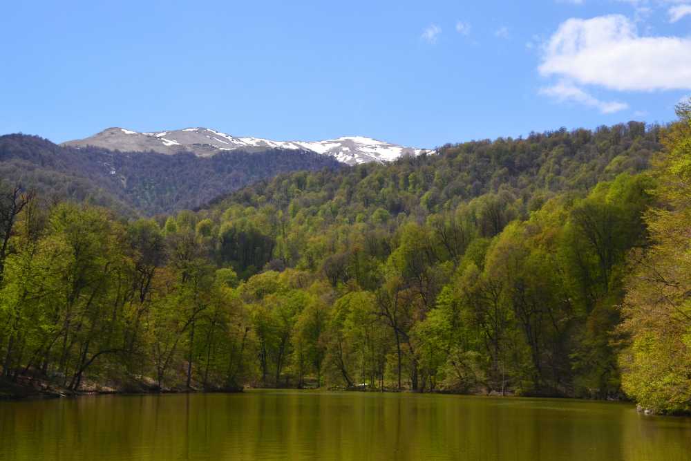 Dilijan National Park