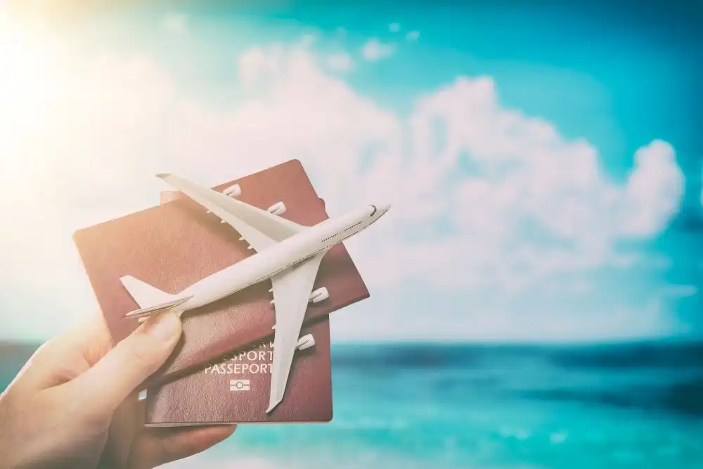 Travel Flight Ticket